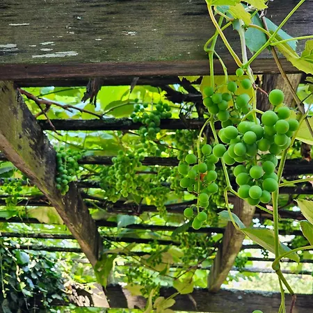 Szilvás 10 Сasa de vacaciones *