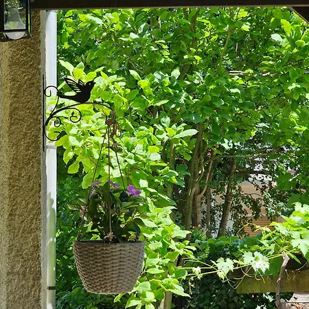 Сasa de vacaciones Szilvás 10 *