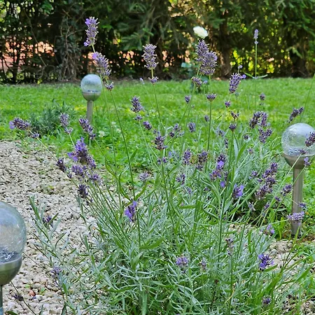 Szilvás 10 * Szigliget