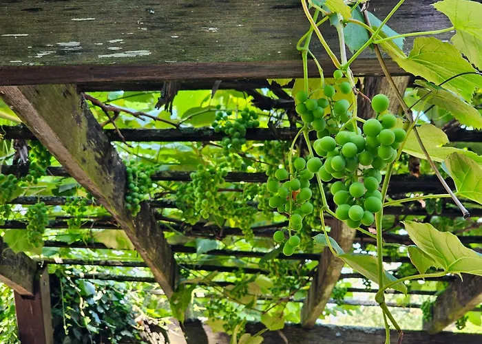 Szilvas 10 Дом отдыха *