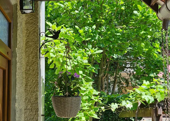 Дом отдыха Szilvas 10 *