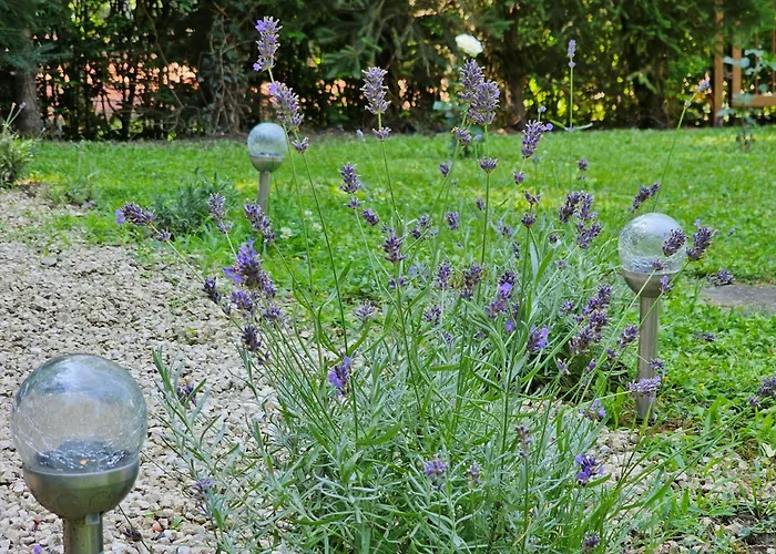 Szilvas 10 * Сиглигет